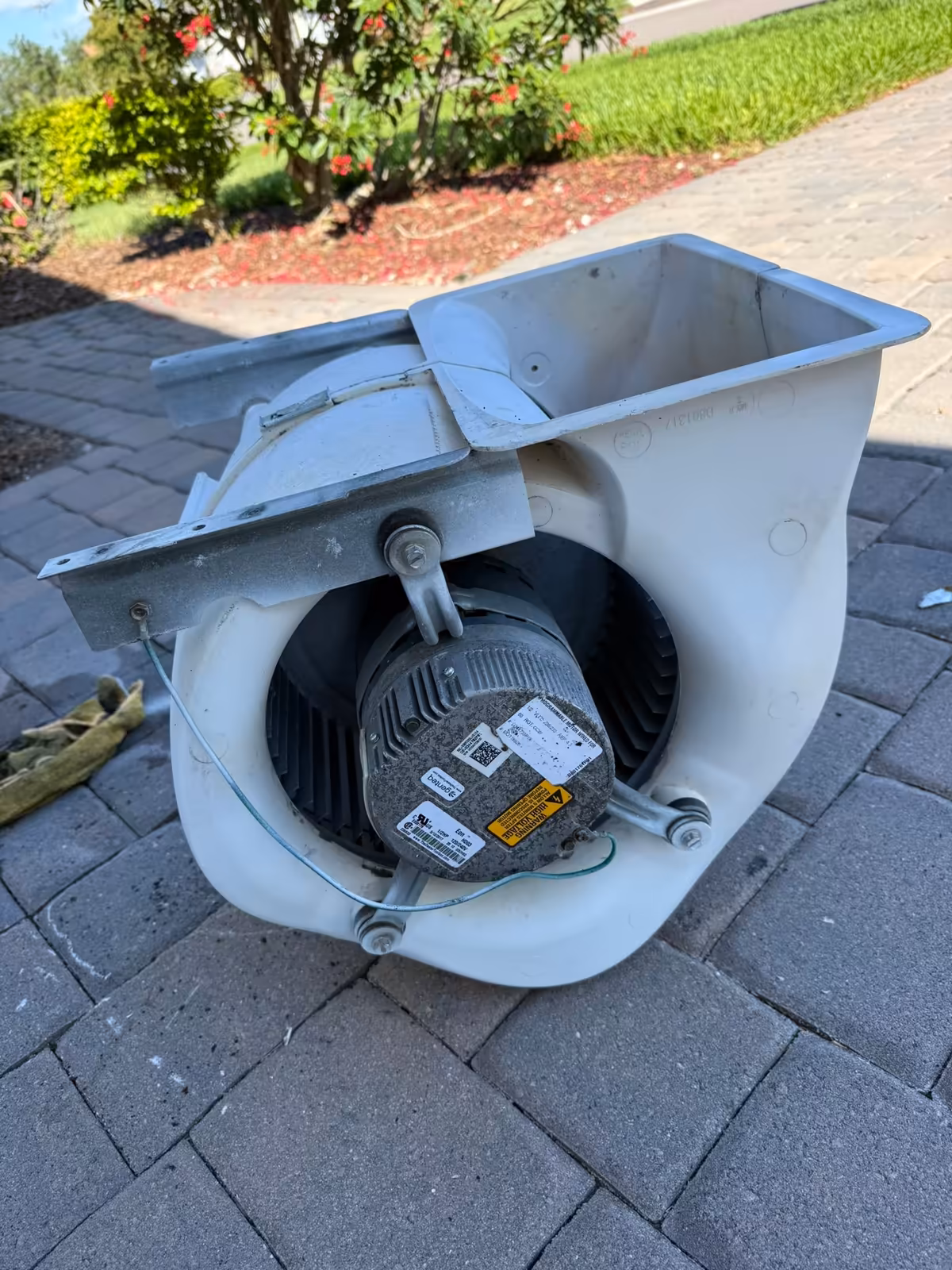 Blower housing and motor back together after cleaning, the plastic white and clear of mold, on a paver driveway