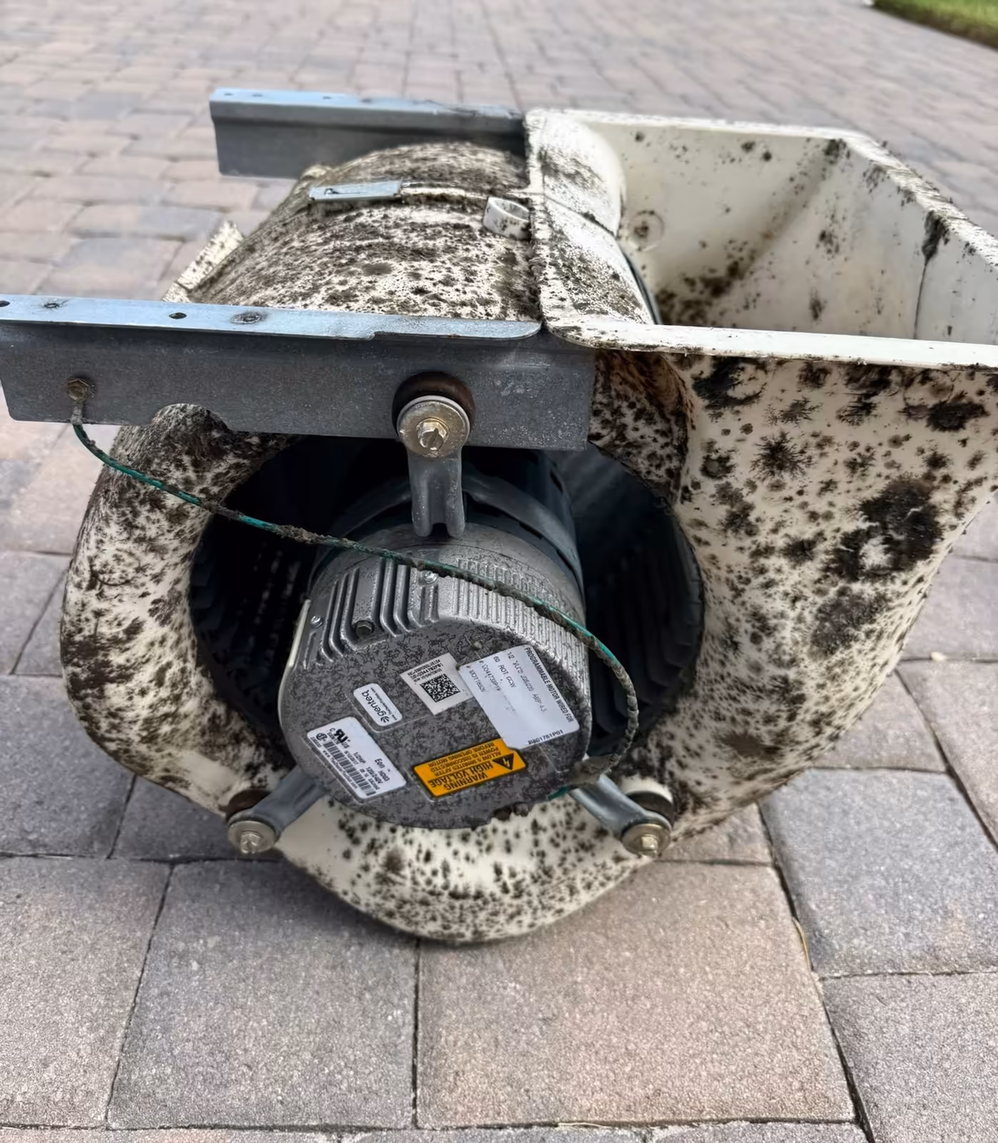 Mold-speckled blower housing on a paver driveway, seen from the open end with the motor mounted in the center of the fan wheel