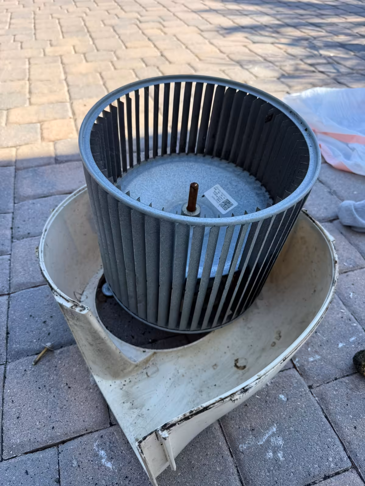 Cleaned squirrel-cage blower wheel lifted out and resting on the cleaned housing on a paver driveway, the blades clear of buildup