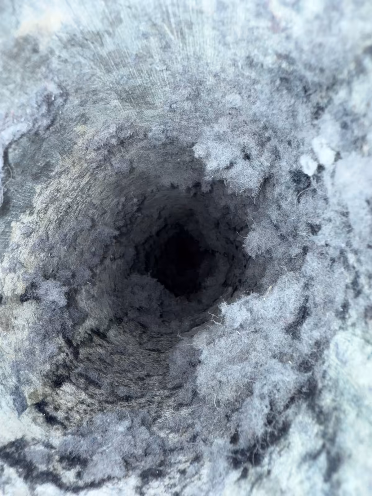 Inside a dryer vent pipe lined all the way round with thick felted lint, leaving only a narrow opening for air