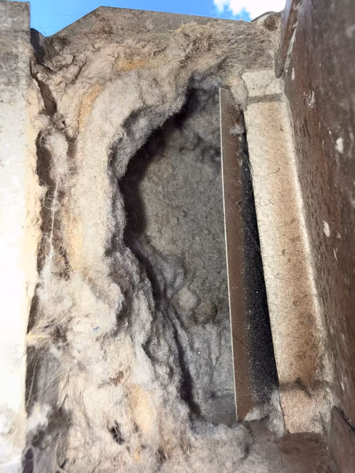 Rooftop dryer vent hood with a thick felted mat of lint packed around its opening, blocking the outlet