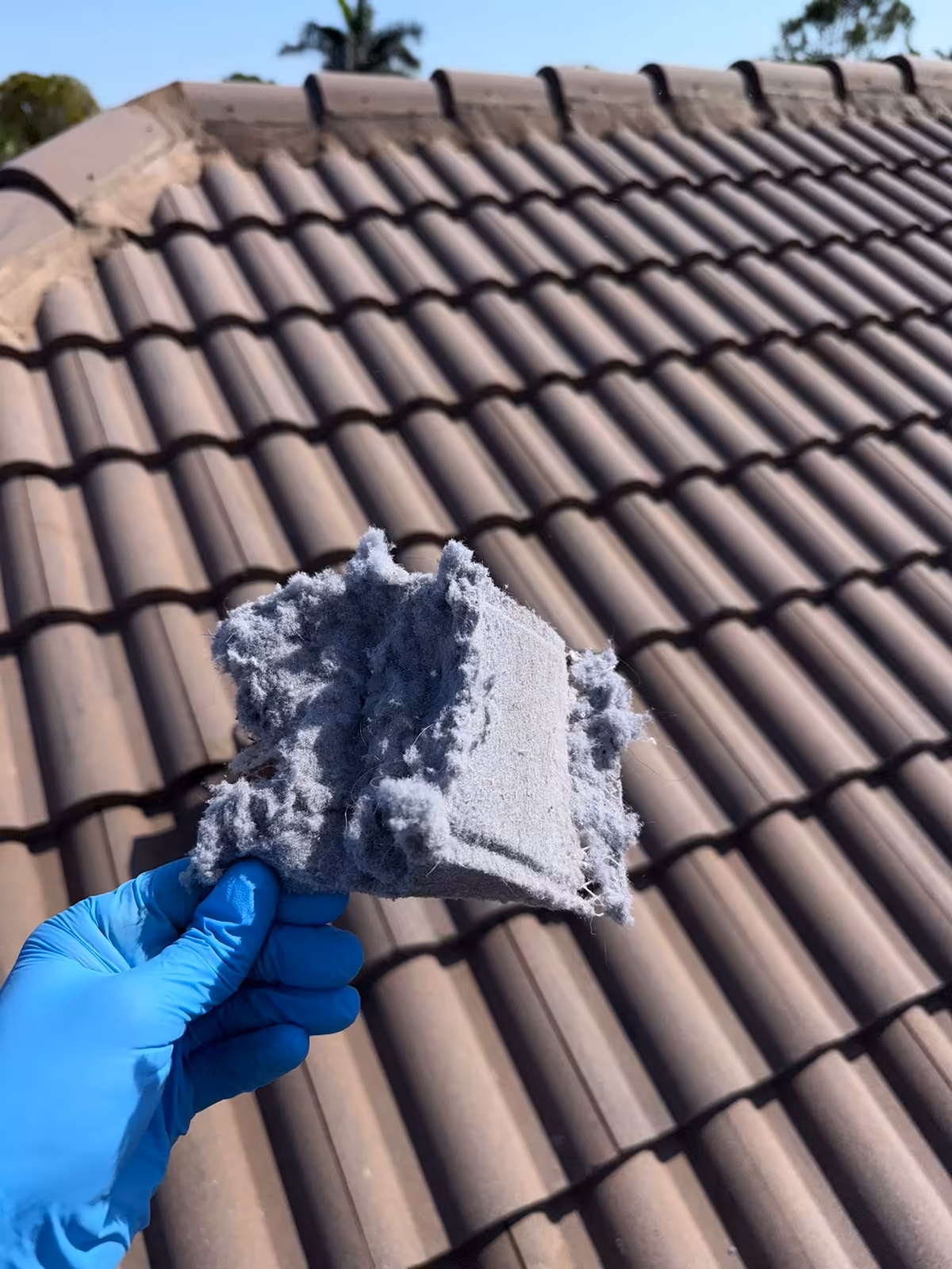 Gloved hand holding a thick mat of lint pulled from the dryer vent termination on a barrel tile roof