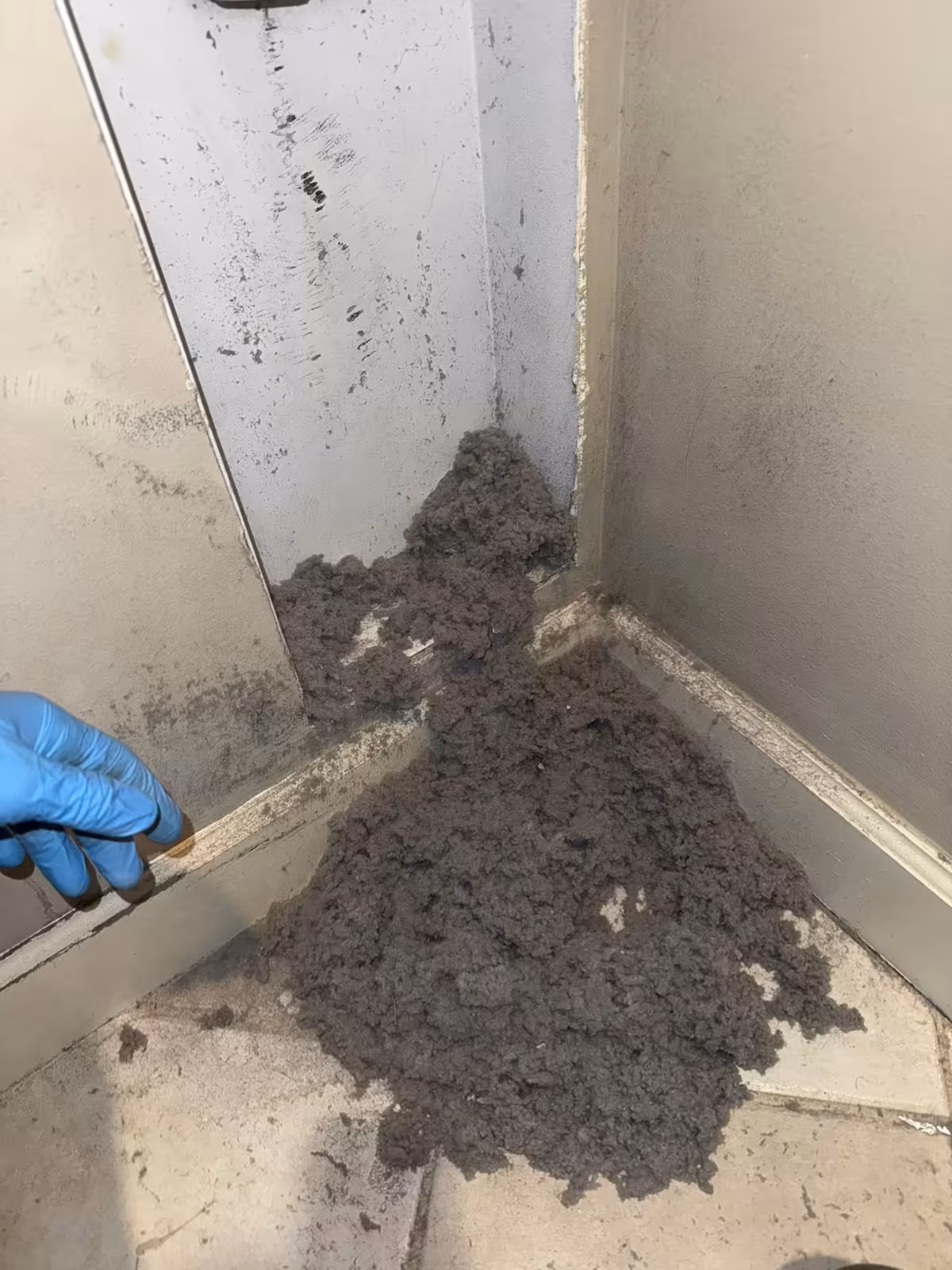 Mound of grey lint pulled from a recessed wall dryer vent box, spilling onto the tile floor beside a gloved hand