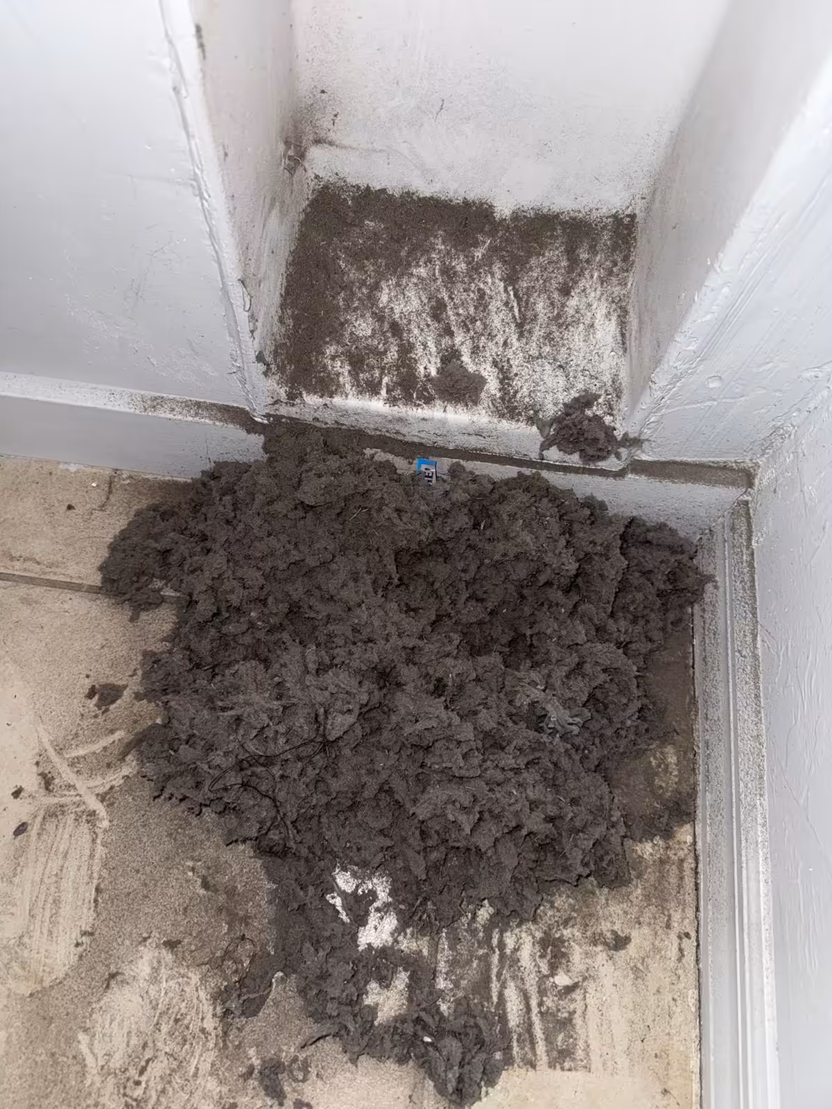Lint pulled from a dryer vent, piled on the tile floor below the wall opening, with lint still clinging to the recess above