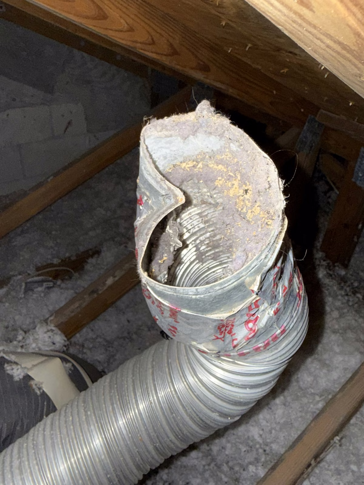 A flexible dryer duct split open along a seam in an attic run on a South Florida job